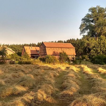 Ziegeleihof Inmitten Von Wiesen Und Waeldern Degenershausen Exterior foto
