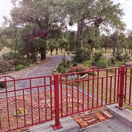 Ziegeleihof Inmitten Von Wiesen Und Waeldern Degenershausen Exterior foto