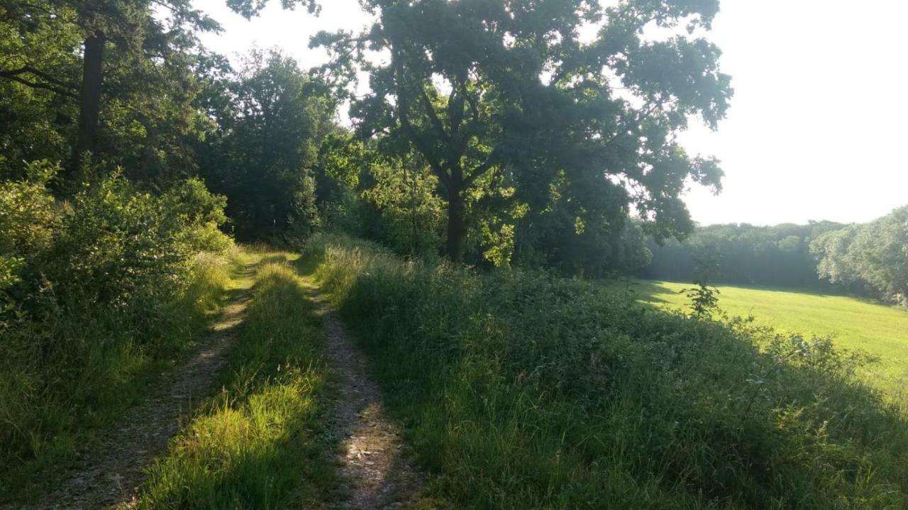 Ziegeleihof Inmitten Von Wiesen Und Waeldern Degenershausen Exterior foto