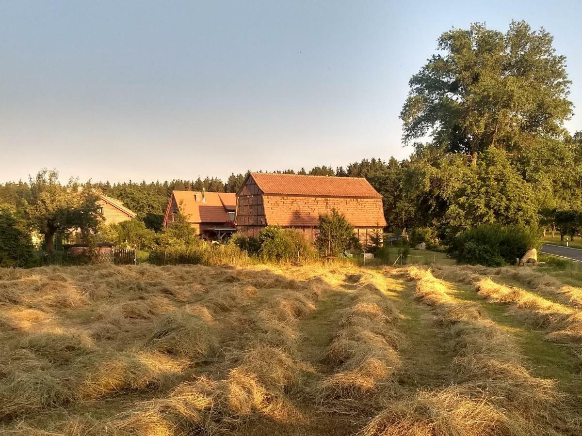 Ziegeleihof Inmitten Von Wiesen Und Waeldern Degenershausen Exterior foto